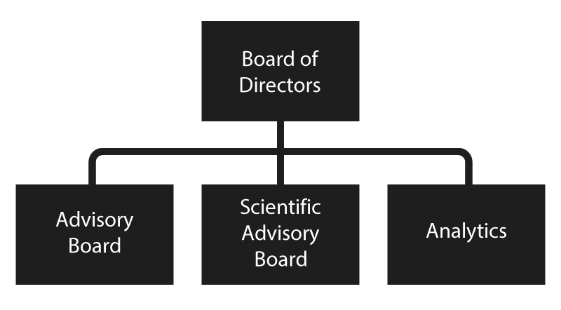 Structure of our organisation